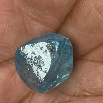 20220416 004359 0c217ecc 8427 4d03 80ad Bfba3e9733fb