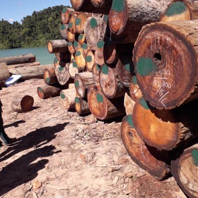 Img 20231222 Wa00262